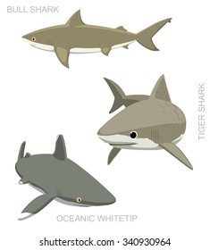 Tiger Shark Set Cartoon Vector Illustration