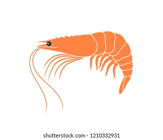 Tiger shrimp logo. Isolated shrimp on white background. Prawns