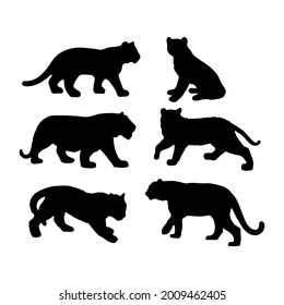 Silhouette Tiger 2022 - fondo aislado vectorial. Gatos salvajes