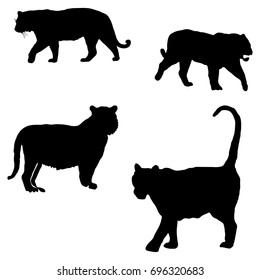 Tiger silhouette
