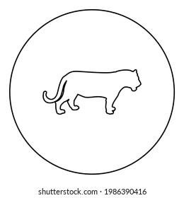 Tiger silhouette in circle round black color vector illustration contour outline style image 