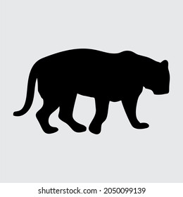 Tiger Silhouette, Tiger Isolated On White Background