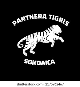 tiger  silhouette logo with tittle panthera tigris sondanica  means a tiger from asia