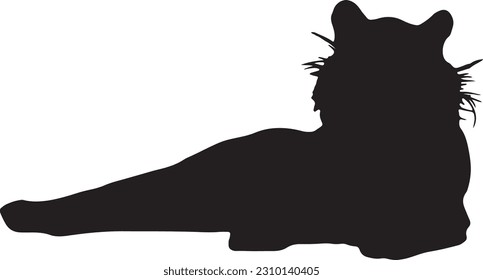 Tiger silhouette poses isolated on white background
