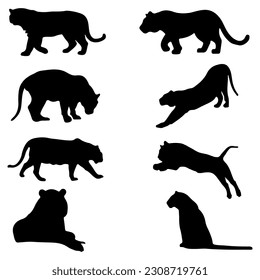 Tiger silhouette set.  Eight different poses. Vector illustration.