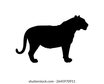Projeto de ilustração plana do vetor da silhueta do tigre.