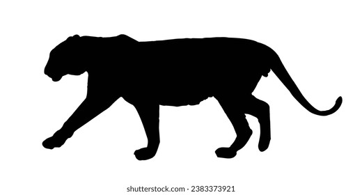 Tiger Silhouette. Tiger Vector Illustration. Tiger Artwork.