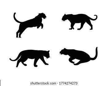  Tiger Silhouettes. Tiger different type postures
