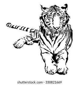 Tiger sitting, black and white, vector illustration.