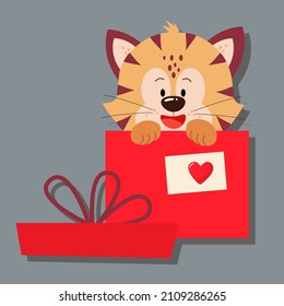 The tiger is sitting in a gift box. Day of love. valentine's day. A greeting card with a declaration of love. A flat vector image on a gray background.