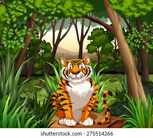 Tiger sitting in a jungle