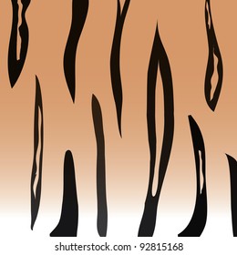 Tiger Skin