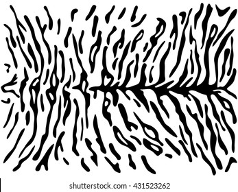 Tiger skin with asymmetric strips. Vector illustration