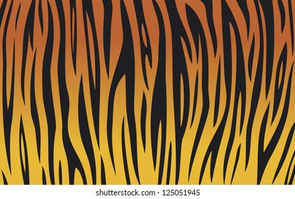 tiger skin background (animal texture)