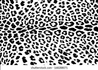 Tiger Skin Pattern Vector, Black Pattern On White Isolated.