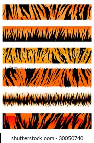 Tiger skin patterns