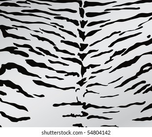 Tiger skin texture.