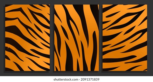 Tiger skin texture background set. Tigers black and orange stripes fur background collection. Vector backdrop pattern