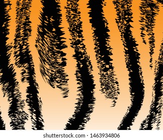 tiger skin vector background,pattern yellow and black stripe ,animal skin texture