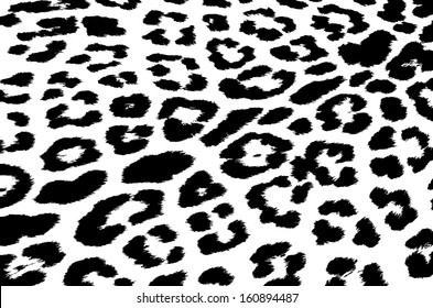 Tiger skin vector black and white color