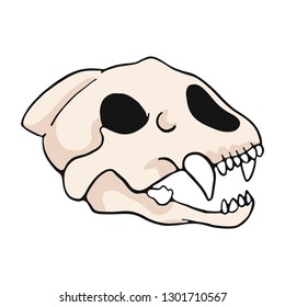 Tiger skull cartoon vector illustration motif set. Hand drawn isolated big cat bone elements clipart for nature blog, natural history bone skeleton graphic, anatomy education web buttons.