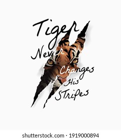 tiger slogan with tiger face in claw mark illustration