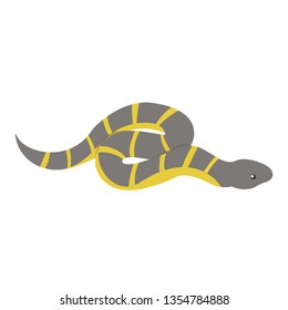 Tiger snake. Isolated vector illustration