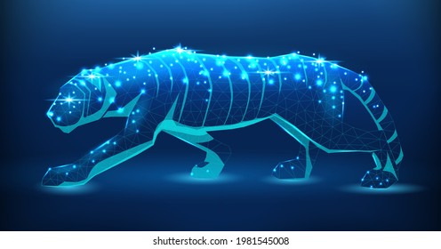 A tiger sneaks, an illustration in a low-poly style. Symbol of 2022, according to the Eastern calendar. Bright wild cat on a dark background. For postcards, calendars for Christmas. Vector.