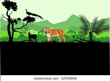 Tiger standing among the grass, trees silhouettes, green jungles on background, vector illustration. 