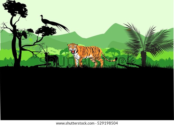 Tiger standing among the grass, trees silhouettes, green jungles on background. 