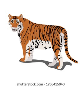 Tiger standing, wild carnivores living in the jungle, vector illustration in flat style.