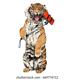 the tiger stands on hind legs with open mouth and makes a selfie sketch vector graphics color picture