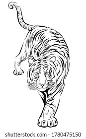 Tiger step forward on white background vector image