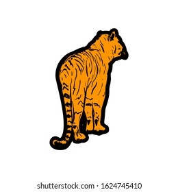 Tiger sticker hand drawn vector illustration. Dangerous exotic predator isolated on white background. Wild animal minimalistic drawing. African savannah, tropical jungle wildlife design element