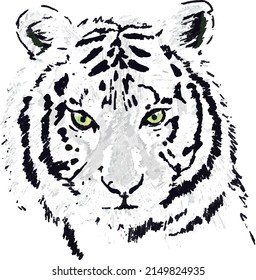Tiger - Stock Vector Illustration