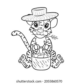 Tiger in straw hat with basket of fruit. The symbol of the new year according to the Chinese or Eastern calendar. Outline for coloring. Vector editable illustration, cartoon style