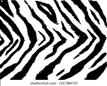 Tiger stripe texture black white. Monochrome pattern.