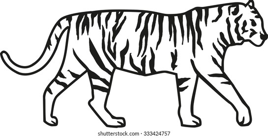Tiger with stripes