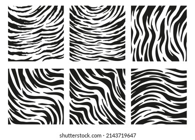 tiger stripes background for decorating the background of wild animals