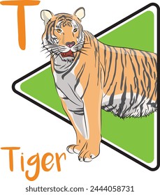 Tiger stripes are special to each individual. The tiger is considered to be the largest living felid species. Tigers are mostly solitary, individual tigers have a large territory.