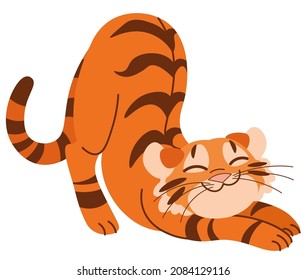 Tiger symbol of New Year 2022 isolated on white background. Cute cartoon tiger stretching. Vector illustration