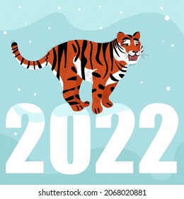 The tiger, the symbol of the new year, stands on the numbers 2022, which symbolizes the coming new year. Snow is falling behind him.