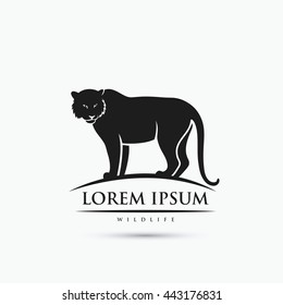 Tiger symbol - vector illustration

