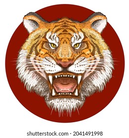 Tiger - symbol of the year 2022. Vector sketch of a tiger's face.