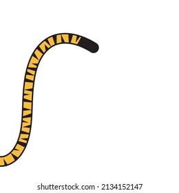 Tiger tail blank space background vector design