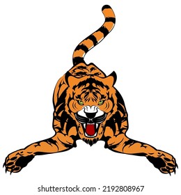 tiger tattoo illustration isolated in vector format