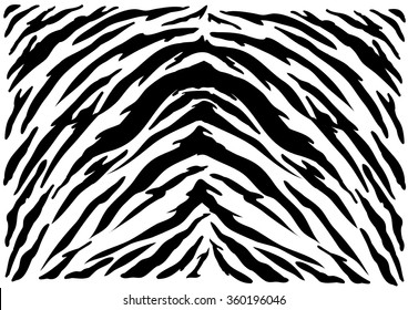 47,484 Tiger stripes Stock Vectors, Images & Vector Art | Shutterstock