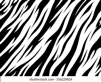 Tiger texture abstract background. Animal safari abstract skin white and black . Vector jungle strip. white tiger