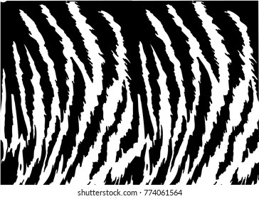 Tiger texture black white pattern background vector illustration