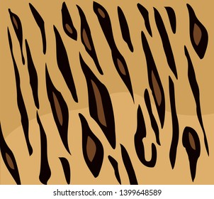 Tiger texture pattern design. Vector illustration background